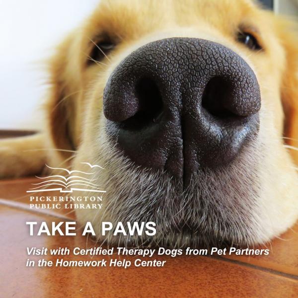 dogs nose with title take a paws