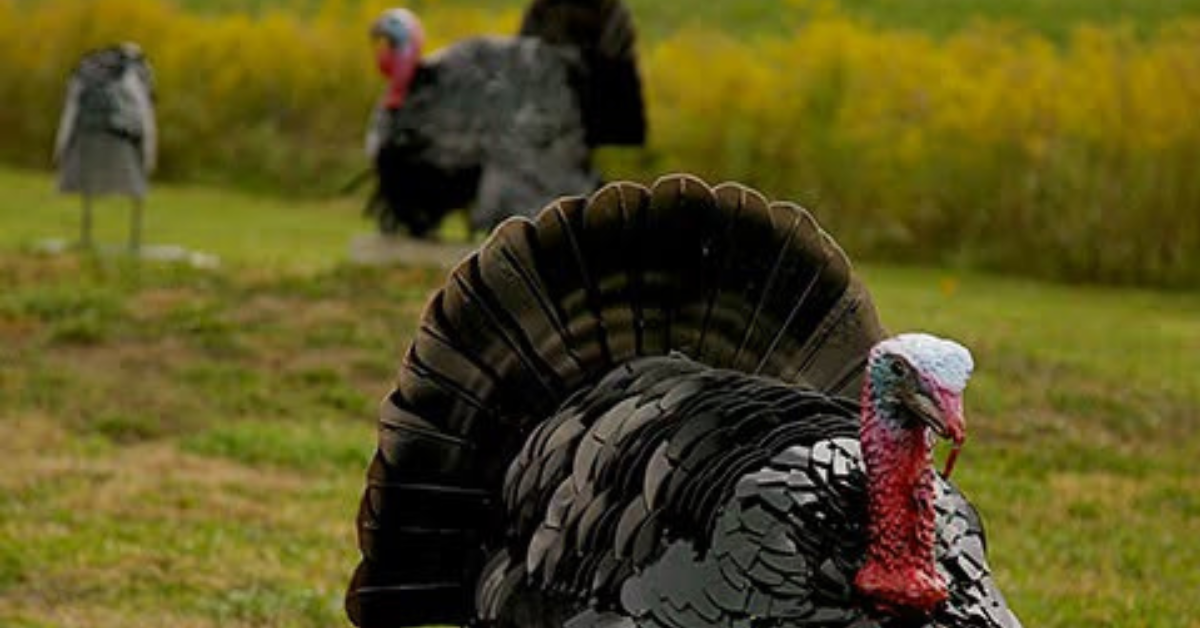Foto de una estatua de un pavo en el parque de Mambourg